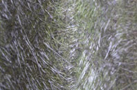 Thorpe Underwood fibreglass roof work